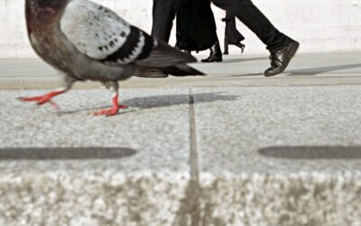 Trafalgar Square, de Matt Stuart