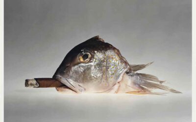 André S. Solidor, el fotógrafo más irreverente, estrambótico y mordaz de la agencia Magnum