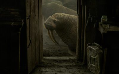 ¿Quién es… EVGENIA ARBUGAEVA?