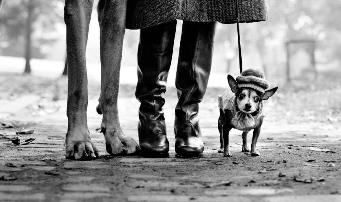 Fotografía de Elliott Erwitt